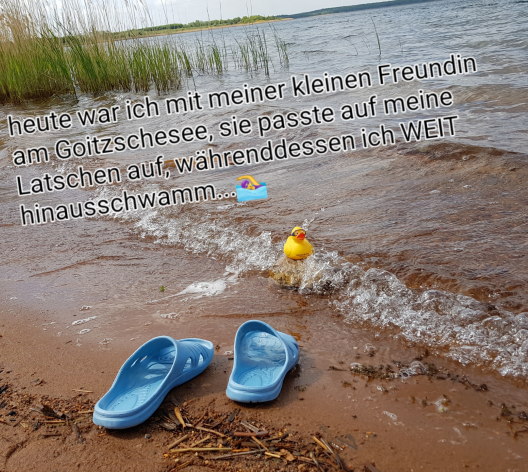 Strand_Goitzsche_neu.png