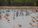 Start in den Frühling 2016
