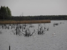 Start in den Frühling 2016