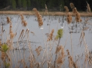 Start in den Frühling 2016