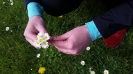 Start in den Frühling 2016