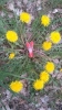 Start in den Frühling 2016