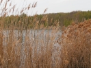 Start in den Frühling 2016